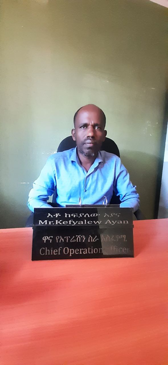 አቶ ከፍያለው አያና