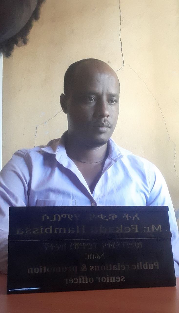 አቶ ፍቃዱ ሃምቢሳ